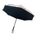 3a170a9fe4f47ef (1).webp